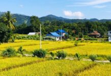 जग्गाको हदबन्दी के हो, नेपालमा कसरी कायम गरिन्छ?